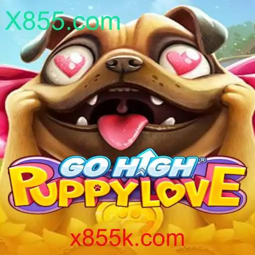 GoHighPuppyLove: Um Mundo de Aventuras em X855.com