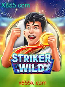 StrikerWILD: Descubra o Novo Fenômeno de Jogo do X855.com
