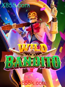 Explorando o Universo de WildBandito
